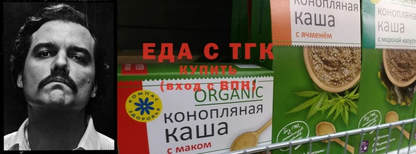 спиды Нефтегорск