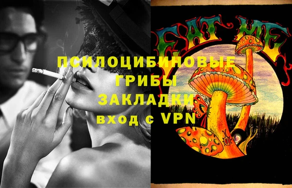 мдпв Новозыбков
