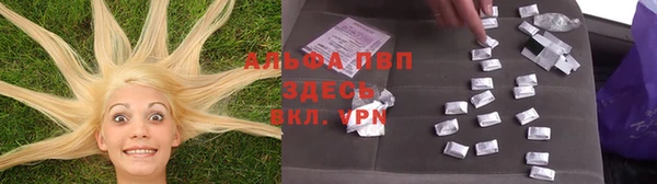 молекула духа Новодвинск