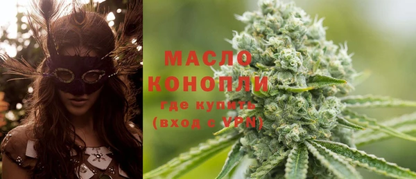 молекула духа Новодвинск